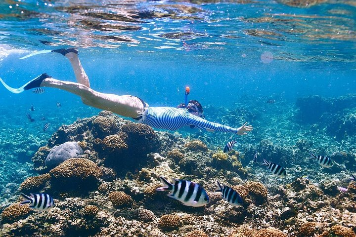 Snorkeling tour